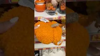 Fall at Poundland 🍂 #falldecor #newin #bestfinds #new #pepco #poundland #home #autumn