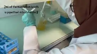 Absorbance measurement