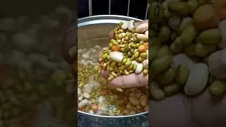 High protein snack , mixed pulses snack #snacks #snackrecipe