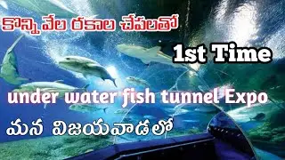 Under water fish tunnel expo in Vijayawada & Guntur
