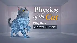 Physics of the Cat Why They Vibrate & Melt