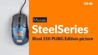 Распаковка мыши SteelSeries Rival 310 PUBG / Unboxing SteelSeries Rival 310 PUBG