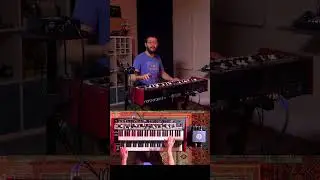 AEA TDI Duo Meets Nord Organ 3