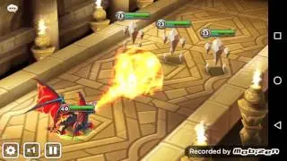 Zaiross skill display