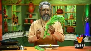 சொரி, சிரங்கு போக்கும் மூலிகை மருத்துவம்..! Mooligai Maruthuvam [Epi - 225 Part 1]