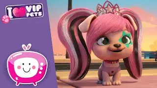 💿 DJ GWEN 🎶 VIP PETS 🌈 New Episode ✨ Cartoons for KIDS in ENGLISH