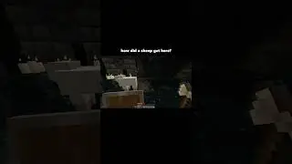 WTF How Did Sheep Got Hare? 💀☠️😆 || Minecraft || Hamm Samichz Vods #minecraft #hypixel #smp