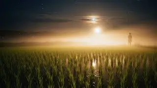 Chill Lofi Stillness Blooming Over Dark Rice Terraces Filled With Warm Drifting Night Air