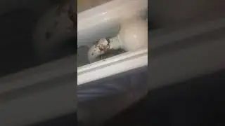 Радиатор отопления Будерус (BUDERUS)