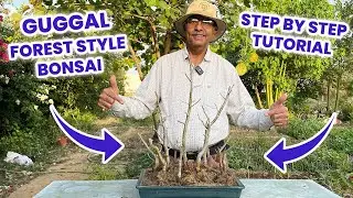Guggal Forest Style Bonsai Making 🌳 Step By Step Tutorial | बनाया गुग्गल का जंगल बोनसाई | EP-04