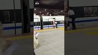 Ignorant woman holds up train in China