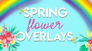 Spring Flower Overlays.🌻🌼🌸💮