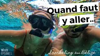 Un lamantin ... kesaco ?- Vlog au B&eacute;lize, &Eacute;pisode 1