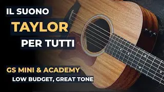 TAYLOR GS MINI & ACADEMY series, costano meno ma suonano tanto! - con Ciro Manna e Osvaldo Lo Iacono