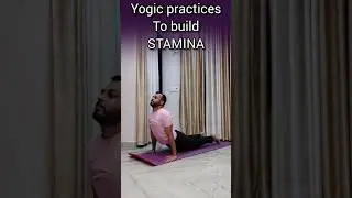Yoga for Stamina #yoga #stamina #yogabyabhishek #morningroutine #yogapractice #shorts #yogalife #fyp