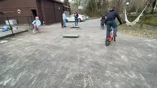 Dogs Holding Commands While Bikes Go Around and Between Them | Timelapse
