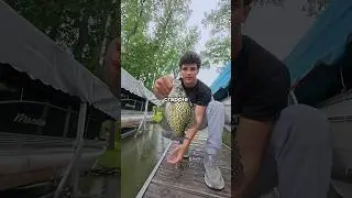 Eating the first fish I catch