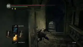 DARK SOULS NG+!Episode 1 Asylum Demon, Taurus Demon, Bell Gargoyles and Moonlight Butterfly Bosses