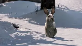 PlayStation Presents.. The 12 Days of Christmas