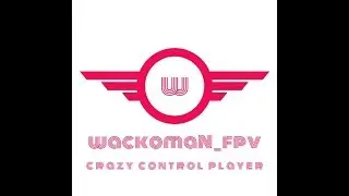 wackomaN in godfather island with 드!및!사! (Crazy for Drone crew)