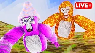 PLAYING WITH VIEWERS