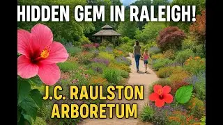 Raleigh&rsquo;s Garden Treasure: J.C. Raulston Arboretum (featuring the famous Flame Thrower Redbud)