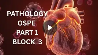 Pathology OSPE (Part 1) Block 3 &bull; Pathology OSPE guidelines