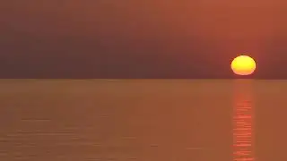 &ldquo;Golden Sunrise Over the Sea 🌅 | Peaceful Ocean | Free HD&rdquo;  Jungle | Nature |  |Forest Videos