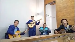 Trio Excelencia de Pachuca [ No me vuelvo a enamorar ] 2026 