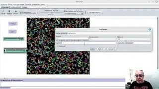 BM2 Sesi&oacute;n 21 Mirollo-Strogatz en NetLogo