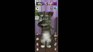 My Talking Tom Gamplay live