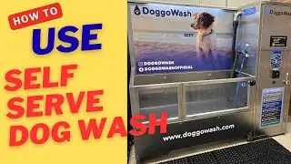 How To Use A Self Serve Dog Wash Station