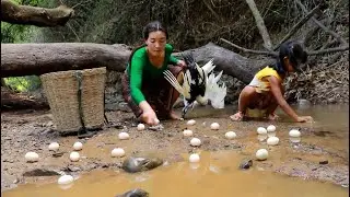 Catch duck & Pick egg for food of survival- Grilled duck with spicy chili +6food eating delicious
