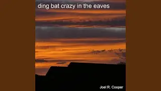 ding bat crazy in the eaves
