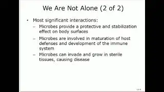 Microbiology Chapter 13 Microbe   Human Interactions By Dr  Saudi