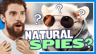 Unbelievable CIA Animal Spies: Pigeons, Dolphins, and More in Real-Life Espionage!