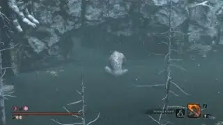 Sekiro&trade;: monkey'n around