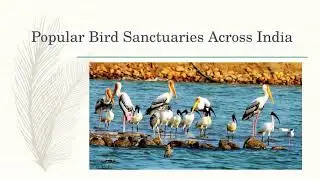 Best Places for Birding in India