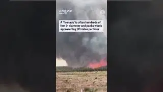 Firenado! 🔥 🌪️