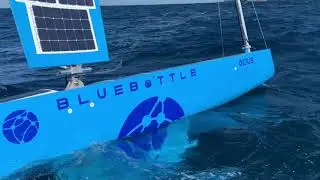 20210811 Bluey Sailing