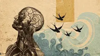 تشريح المحاضرة الثانيه