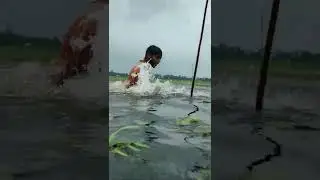 Unique catching idea & catch big fish by tata from flood water #shorts #fishing