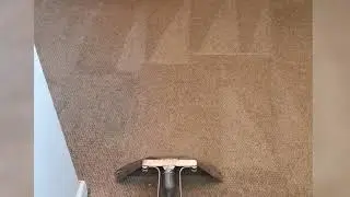 Amazing job - carpet cleaning in Manchester, UK.