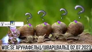 FreeRo - WoE:SE Шварцвальд/Арунафельц 02.07.2023 - Бодрые Улитки