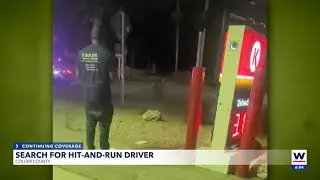 Collier County Sheriff's Office seeking man with possible information on fatal hit-and-run