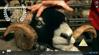 Addicted to Sheep: Official Trailer