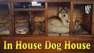 In House Dog House / TV Stand