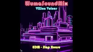 ViZion Voices -  WumaSoundMix (🎧 DJ Wuma)