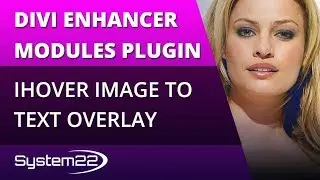 Divi Enhancer Module Plugin iHover Image to Text Overlay 👈