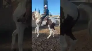 🔥🐴Caballo El Gal&aacute;n🐴🔥 Montado Por Beto Orozco 🐴🤠De Cuadra El Aguaje🤠🐴
